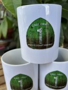 PCH Tasse